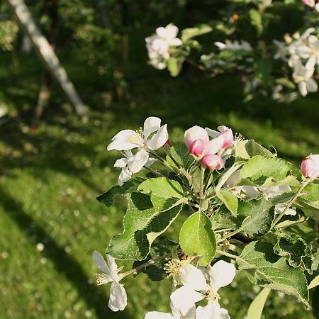 Pension Bauernhof Spielmann Mieming Eksteriør bilde